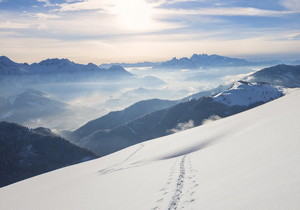 TikTok将关闭TikTok Notes引导用户转向Lemon8真没想到